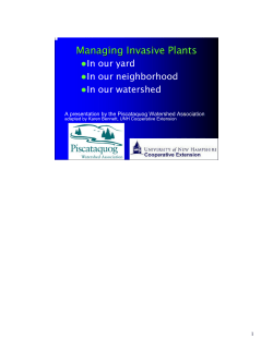 Managing Invasive Plants - UNH Cooperative Extension