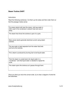 DART steam turbine ANSWERS.pages