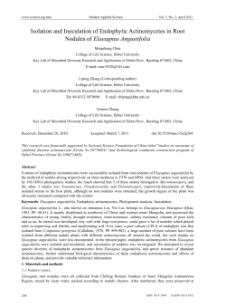 Isolation and Inoculation of Endophytic Actinomycetes in Root