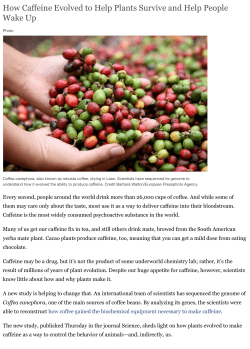 How Caffeine Evolved to Help Plants Survive and