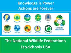 Do You Have What It Takes To Be An Eco-School?