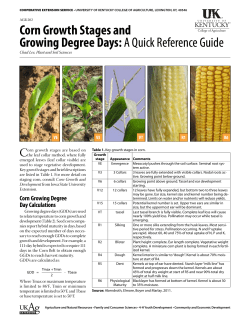 Corn Growth Stages and Growing Degree Days