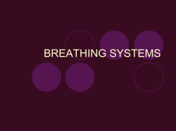 breathing systems - Dr. Roberta Dev Anand