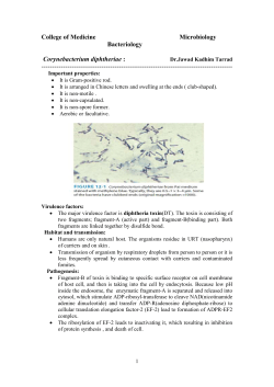College of Medicine Microbiology Bacteriology Corynebacterium