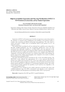 High-level Soluble Expression and One-step Purification of HTLV
