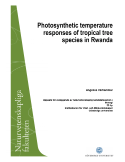 Photosynthetic temperature responses of tropical tree species in