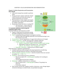 Chapter 9 Cellular Respiration