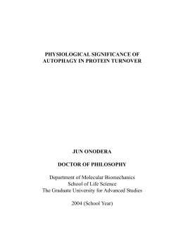 PHYSIOLOGICAL SIGNIFICANCE OF AUTOPHAGY IN PROTEIN