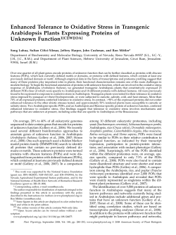 Enhanced Tolerance to Oxidative Stress in