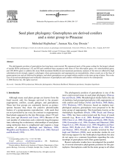 Seed plant phylogeny: Gnetophytes are derived conifers and a sister