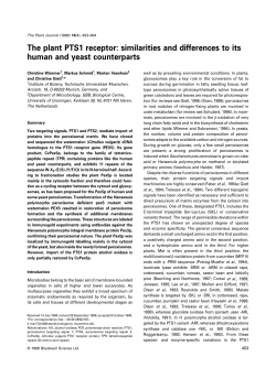 The plant PTS1 receptor: similarities and differences to its human