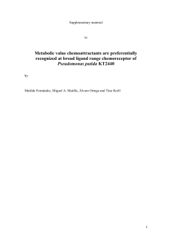 Metabolic value chemoattractants are preferentially