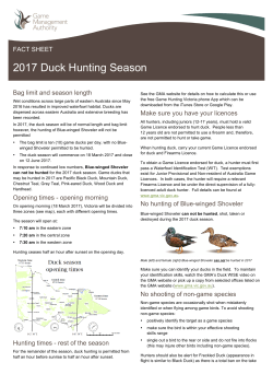 2017 Duck Hunting Season