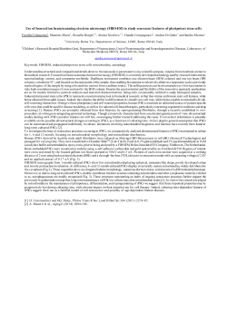 Use of focused ion beam/scanning electron microscopy (FIB/SEM) to
