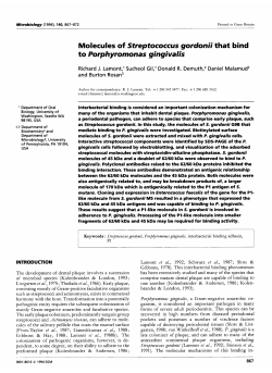 Molecules of Streptococcus gordonii that bind to
