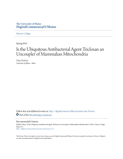 Is the Ubiquitous Antibacterial Agent Triclosan an Uncoupler of