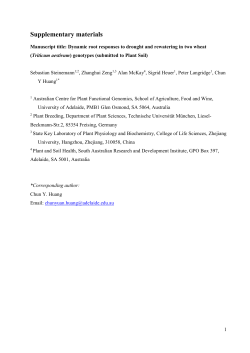 Manuscript title: Dynamic root responses to drought and rewatering