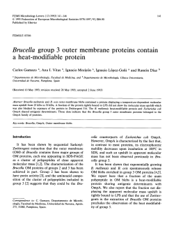 Brucella group 3 outer membrane proteins contain a heat