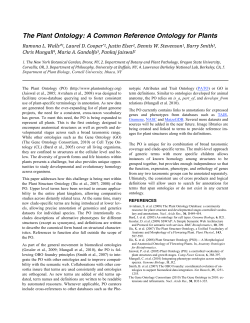 The Plant Ontology: A Common Reference