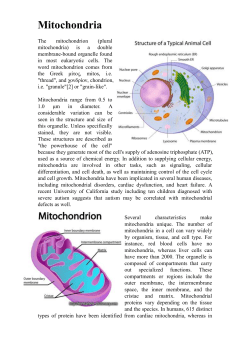 mitochondrion