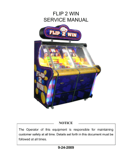 flip 2 win service manual