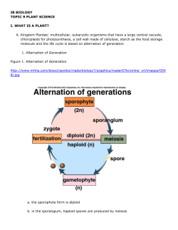 Part 1 of the Plant notes.