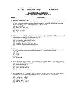 BIO 311c Introductory Biology K. Sathasivan In Class Activity 9.2