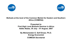70785_Biofuerls_and_Renewable_Energy_in_COMESA