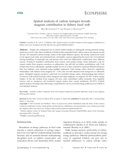 Spatial analysis of carbon isotopes reveals seagrass contribution to