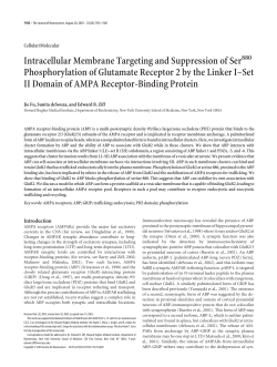 Intracellular Membrane Targeting and Suppression of Ser880