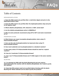 Table of Contents