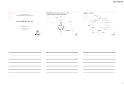 The tricarboxylic acid (TCA) cycle The TCA cycle