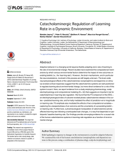 Catecholaminergic Regulation of Learning Rate in a Dynamic