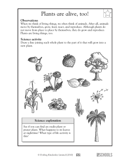 Learn Science - GreatSchools