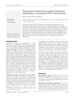 Fluorescence spectroscopy study of heterocyst