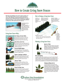 How to Create Living Snow Fences