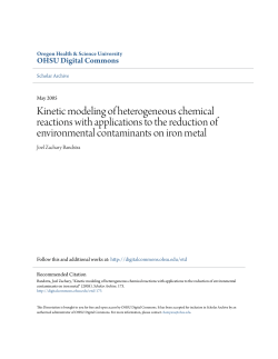 Kinetic modeling of heterogeneous chemical reactions with