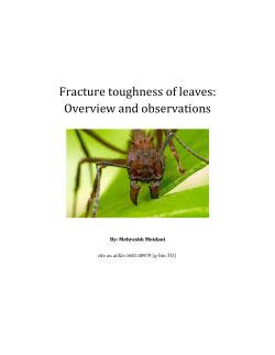 Fracture toughness of leaves: Overview and observations
