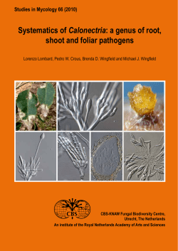 Systematics of Calonectria: a genus of root, shoot and foliar pathogens