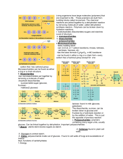 Living organisms have large molecules (polymers) that are