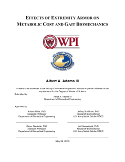 effects of extremity armor on metabolic cost and gait biomechanics