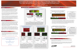 Protein Phosphorylation Analysis