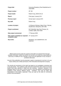 Eve&acute;s Delight Canopy Scores - AHDB Horticulture