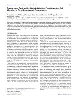 Spontaneous Contractility-Mediated Cortical Flow Generates Cell