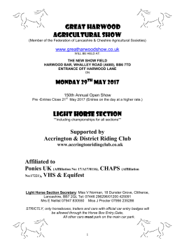 light horse section - Great Harwood Show