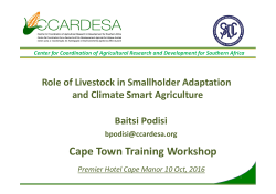 Cape Town Training Workshop