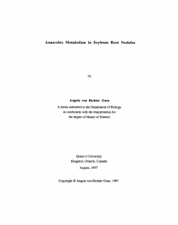 Anaerobic Metabolism in Soybean Root Nodules