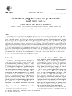 Pectin esterase, polygalacturonase and gel formation in peach
