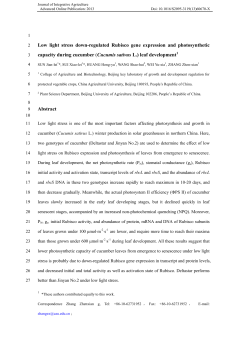 Low light stress causes a down-regulation of Rubisco gene