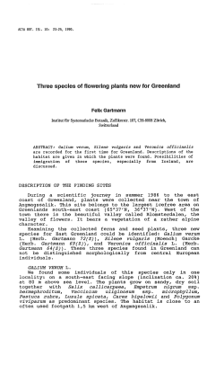 Three species of flowering plants new for Greenland